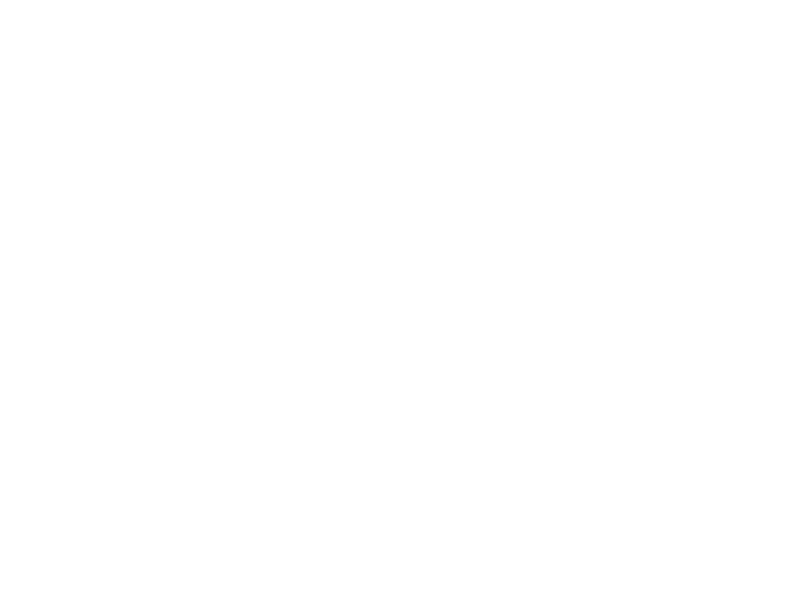 LANCASTER PRESS